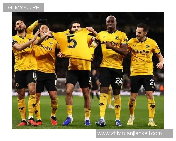 埃弗顿与狼队对决前瞻及预测结果分析，谁能赢得这场关键战役