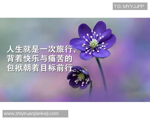 篮球明星的经典语录与励志人生哲学分享